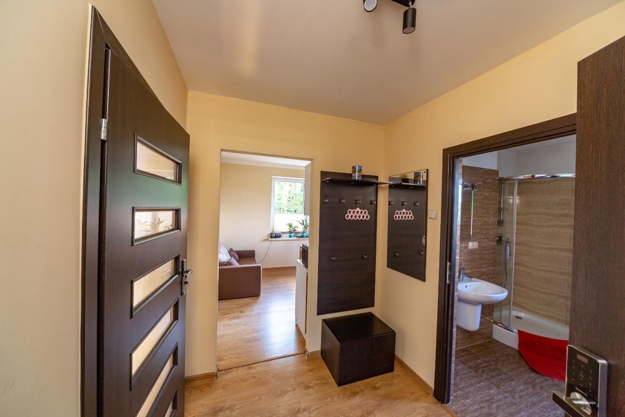 Apartament Natalia Żywiec Esterno foto
