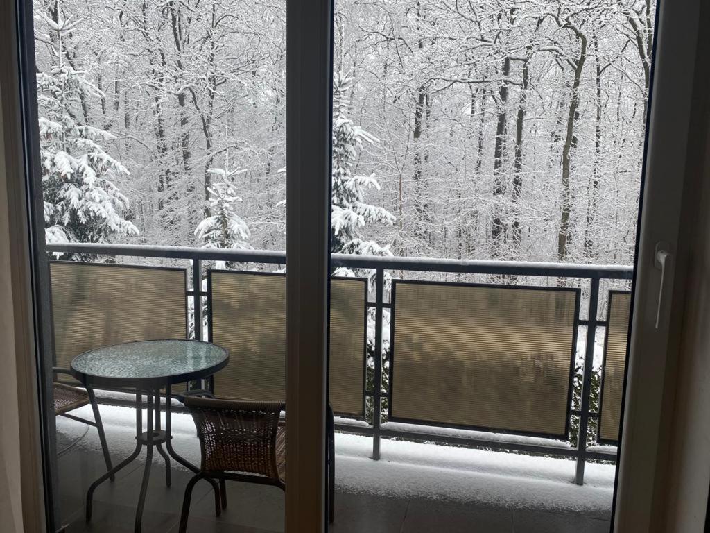 Apartament Natalia Żywiec Esterno foto