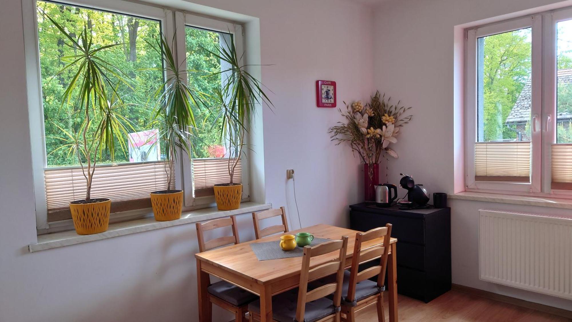 Apartament Natalia Żywiec Esterno foto